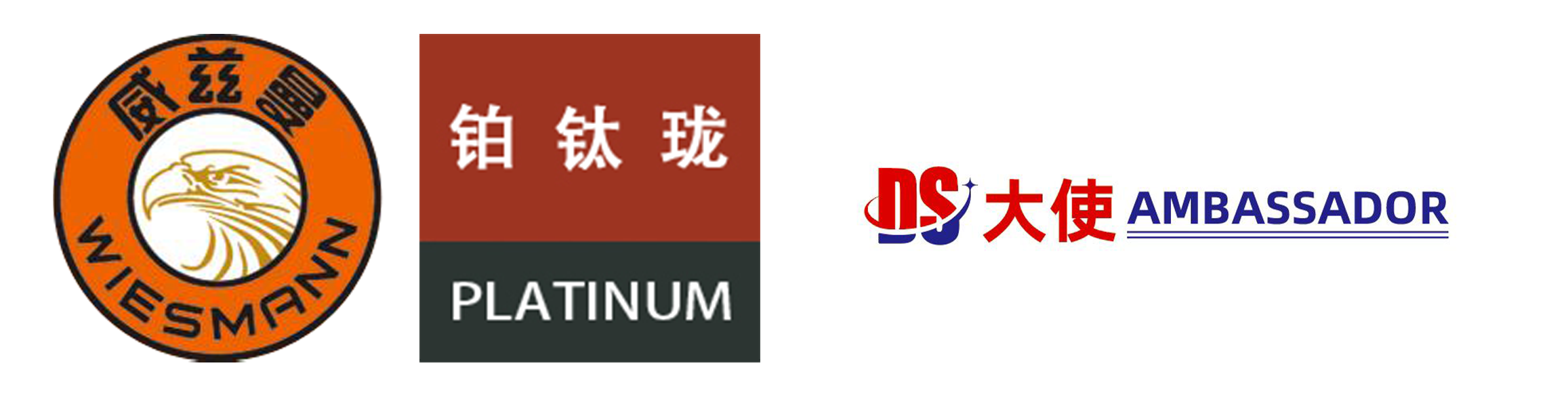 威兹曼漆面保护膜